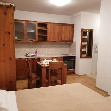 Студио Сейнт Джон * Bansko